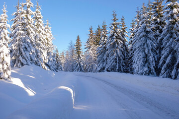 Road in winter landscape covered with snow and snow-covered winter trees on each side with blue sky...