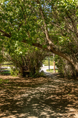Birds art ponds trees and Red Deer River at Kerry Wood Natural Centre Red Deer County Alberta Canada
