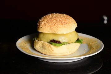 Burger on a plate