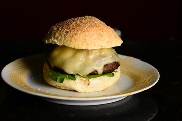 Burger on a plate