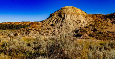 Dinosaur Provincial Park Alberta Canada
