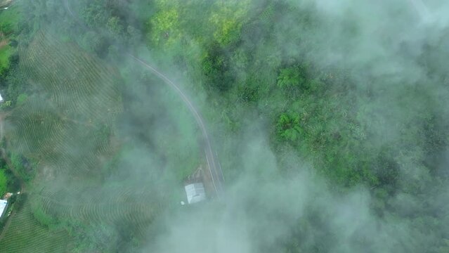 top down view from drone path and cloud flow in the rain season north of chiang rai thailand. 4k video