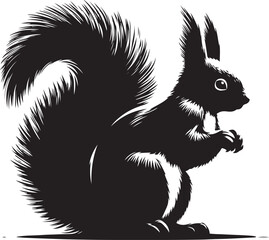 Obraz premium Squirrel silhouettes set, large pack of vector silhouette design, vector isolated white background