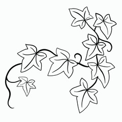 Floral ivy drawing decorative ornament flat design.