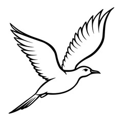 illustration of a flying dove line art vector