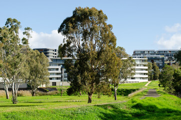 Modern and contemporary-style residential apartment buildings overlook a park with large open...