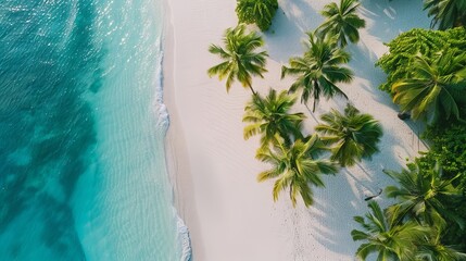 A coastal view with wonderful sand
