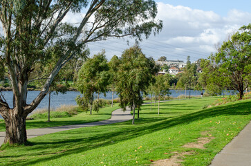 Beautiful footpath or walking trail with lush green grass and trees along the riverbank of Maribyrnong river. Tranquil scenic riverwalk in a public park of a Melbourne’s suburb. VIC Australia