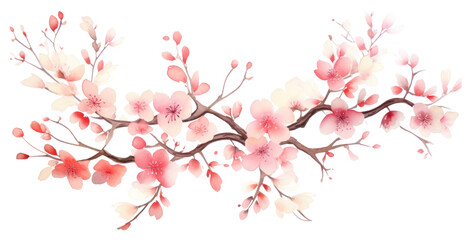 Fototapeta premium PNG Chinese cherry blossom flower plant white background.