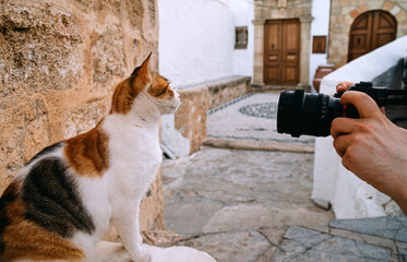A man takes a photo of a cat on the street.