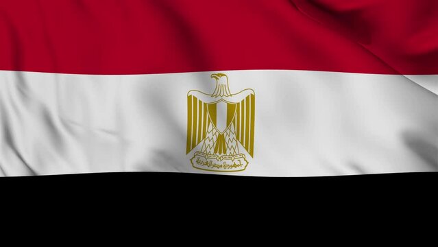 Egypt flag waving seamless loop animation. 4K