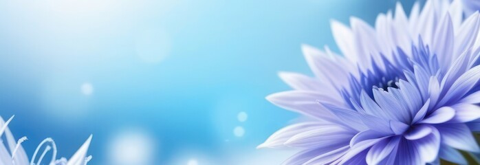 Obraz premium Banner winter flowers with free space in light colors
