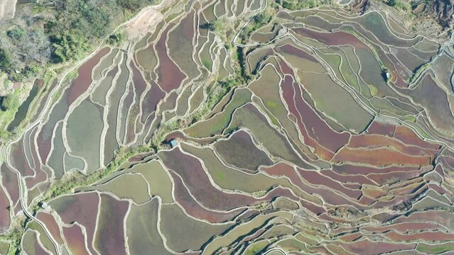Aerial photography of the Hani Yuanyang Rice Terraces in Yunnan Province
