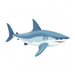 a shark with a white background