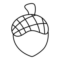 A beautiful design icon of acorn fruit 

