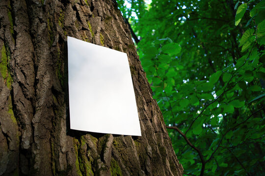 Mockup of white A4 sheet of paper on bark of tree trunk on forest blurred background. Soft diffuse focus. Mockup of a poster in hand. White blank with space for text, presentation