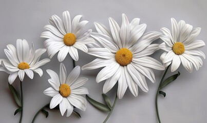 Obraz premium Monochrome background with white daisies