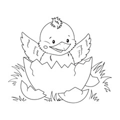 egg with a  cute little chicken coloring page,isolated vector illustration on white background,square composition,template for coloring or activity book for children