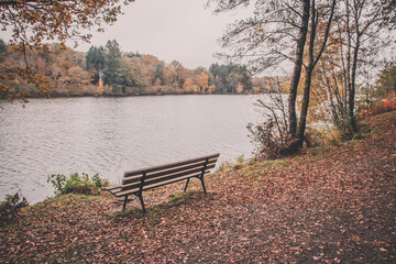 Bench in autumn