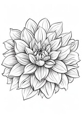 Fototapeta premium This is a coloring page featuring a single dahlia flower. It is a simple design with black lines on a white background, making it perfect for beginners or those who want a relaxing coloring experience