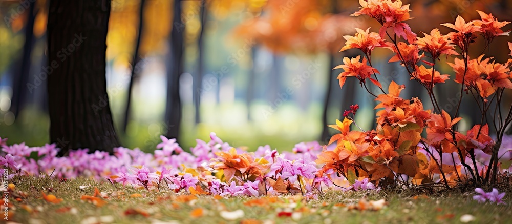 Poster field of autumn foliage with colorful flowers and leaves, perfect for a copy space image.