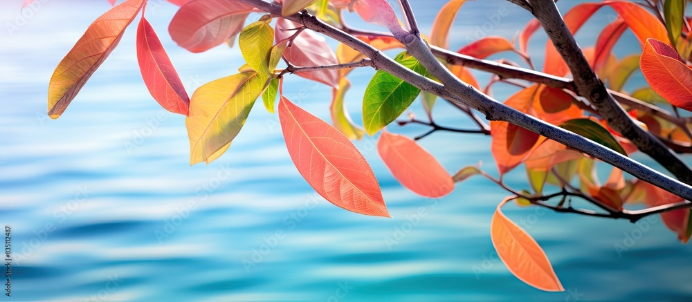 Poster vibrant mangrove leaves undergo a beautiful color transformation against a copy space image.