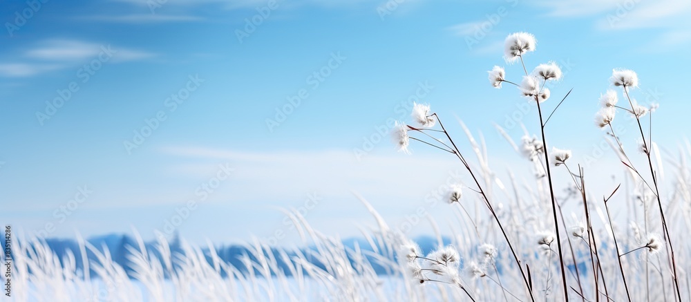 Poster a serene winter backdrop featuring a gentle spring breeze and a clear blue sky with fluffy white clo