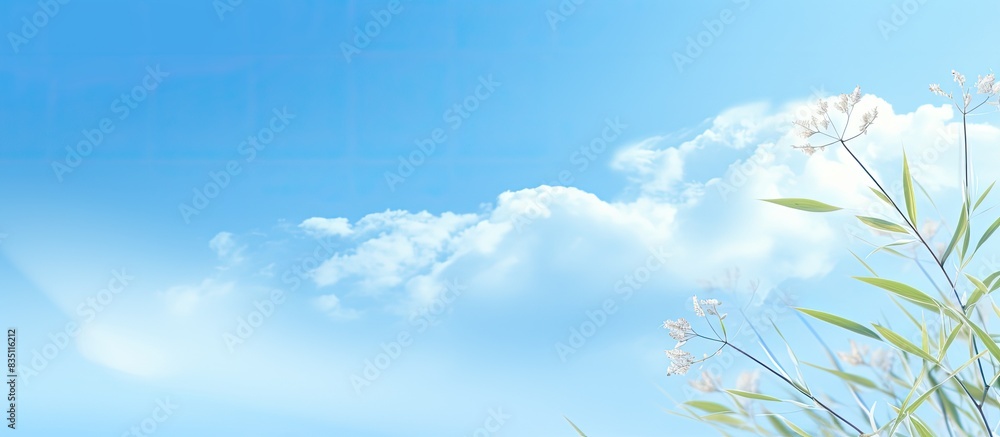 Poster blue sky backdrop featuring abstract natural elements and copy space image.