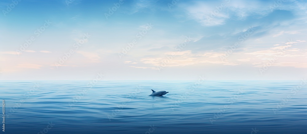 Poster A dolphin swimming in the ocean with a vast expanse of water around it, creating a serene and peaceful scene framed by a copy space image.