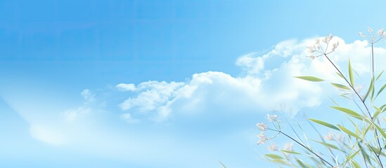 Blue sky backdrop featuring abstract natural elements and copy space image.