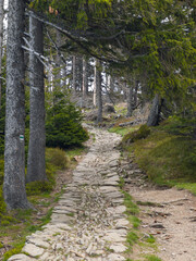 Wandern im Nationalpark Riesengebirge, Tschechei