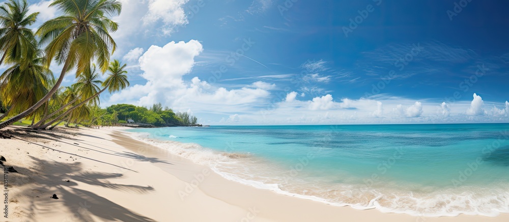 Poster Scenic beach view with palm trees against a backdrop of turquoise waters and a clear blue sky, perfect for a copy space image.
