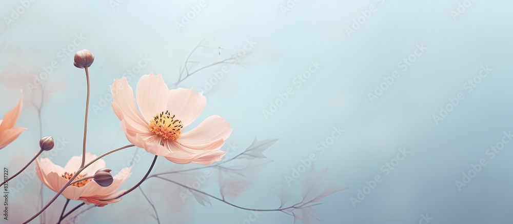 Aufkleber delicate flower on a subtle pastel background with copy space image.