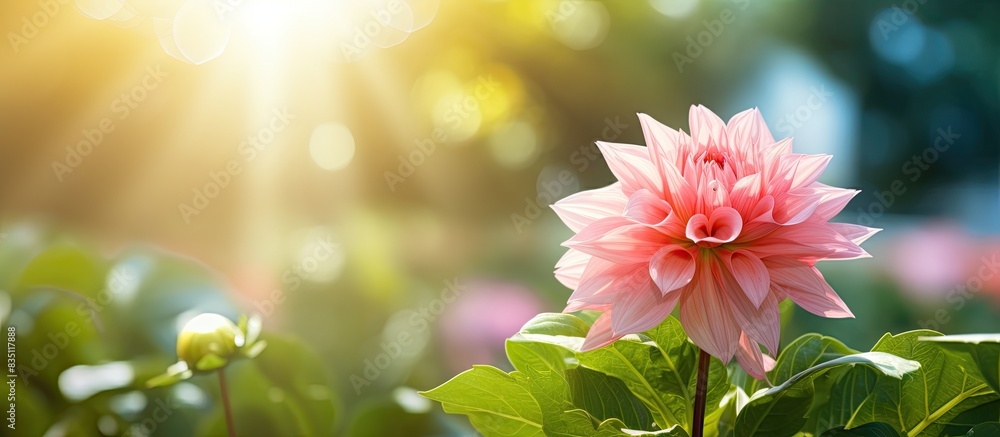 Aufkleber lovely flower blooming in the garden, with a charming background and ample copy space image.