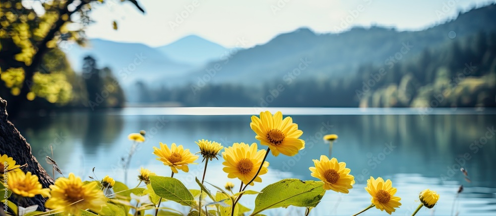 Aufkleber selective focus on yellow mountain flowers by the lake with ample copy space image.
