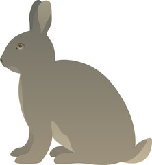 Color vector illustration of sitting rabbit or bunny side view. Wild small mammal animal isolated on white background. Wildlife of the world.