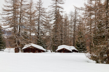 small wooden cottage immersed in the woods covered in snow
