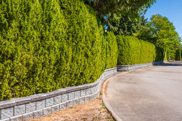 Green fence in Vancouver, Canada, North America. Outdoor landscape.