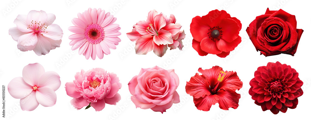 Poster Flower blossom png element set on transparent background