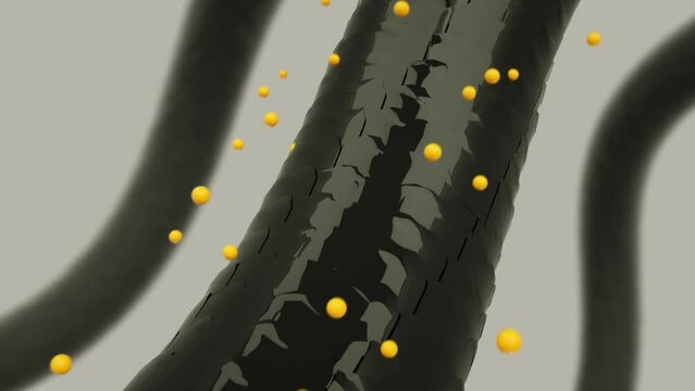Shampoo or serum nourish hair , Animation Nourish hair action of shampoo or serum. Concept Repair damaged hair. 3d rendering.