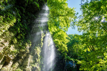 新緑のスッカン沢から光芒の差し込む滝