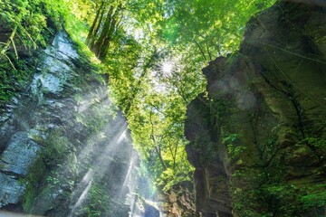 新緑のスッカン沢から光芒の差し込む滝