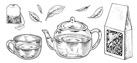 Tea Set Vector Outline Illustration. Hand drawn graphic clipart of cup with pot and leaves. Black line art of tea bag and cardboard box of dried herbal drink. Drawing on isolated white background
