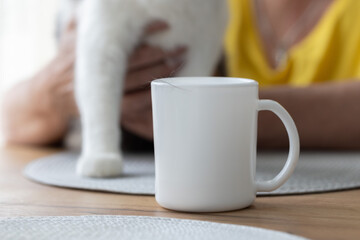 Domestic cat during the moult. Cats hair on the cup of tea.