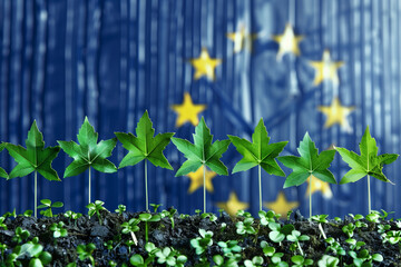 European Union Flags and Young Plants Symbolizing Ecology, a row of small European Union flags planted in the soil next to young plants. The EU flags, with their blue background and yellow stars,	