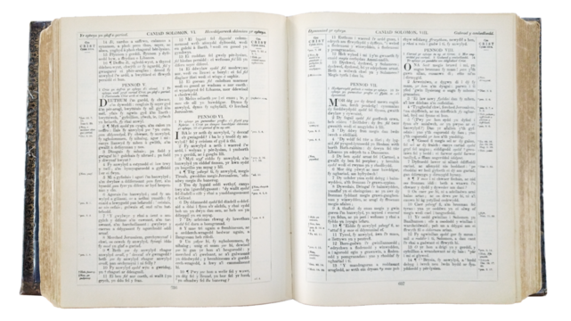 Top view open new testament bible isolated photo