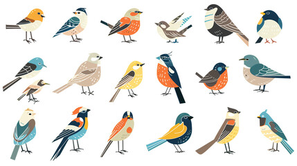 A set of bird graphics for web & design.