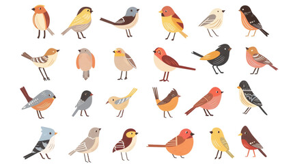 A set of bird graphics for web & design.