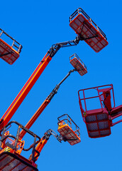 Big group of articulating cranes © Sergey Skleznev