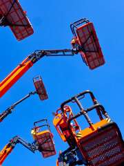 Big group of articulating cranes © Sergey Skleznev